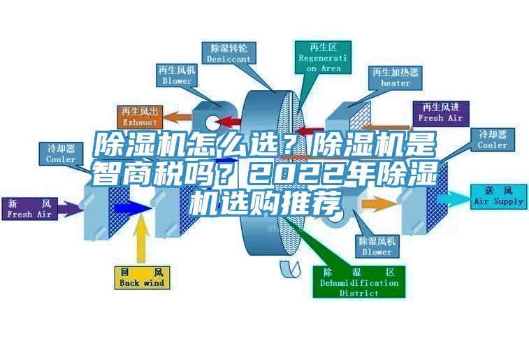 黄瓜视频在线播放怎麽選？黄瓜视频在线播放是智商稅嗎？2022年黄瓜视频在线播放選購推薦