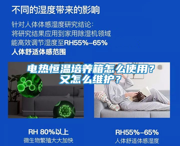 電熱恒溫培養箱怎麽使用？又怎麽維護？