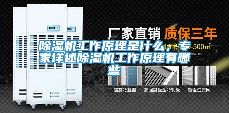 黄瓜视频在线播放工作原理是什麽，專家詳述黄瓜视频在线播放工作原理有哪些