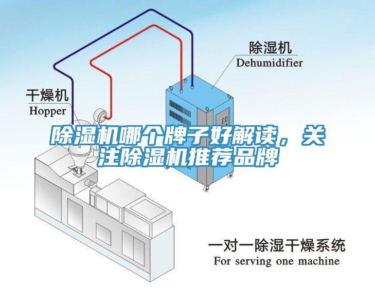 黄瓜视频在线播放哪個牌子好解讀，關注黄瓜视频在线播放推薦品牌