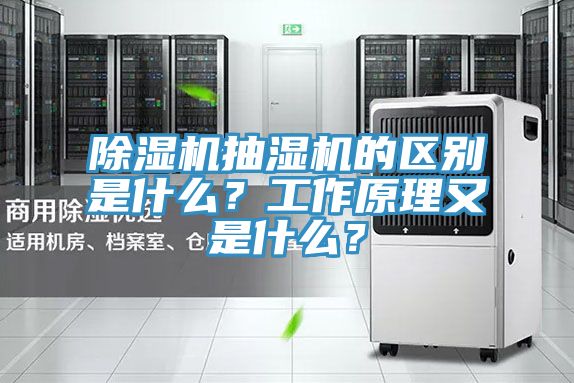 黄瓜视频在线播放抽濕機的區別是什麽？工作原理又是什麽？